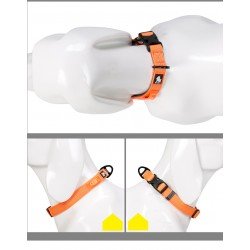 Truelove Flux Halsband