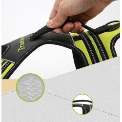 Truelove Forest Hundegeschirr