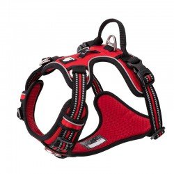 Truelove Country Plus + Hundegeschirr