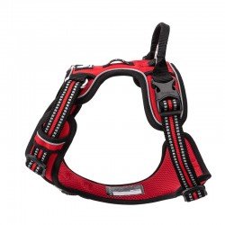 Truelove Country Plus + Hundegeschirr