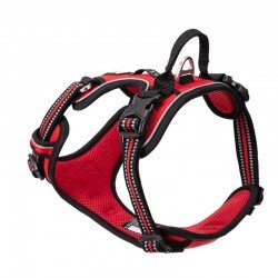 Truelove Country Plus + Hundegeschirr