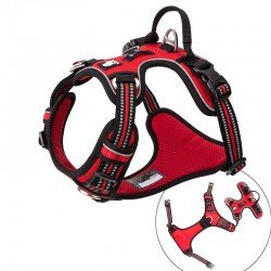 Truelove Country Plus + Hundegeschirr