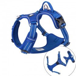 Truelove Country Plus + Hundegeschirr