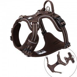 Truelove Country Plus + Hundegeschirr