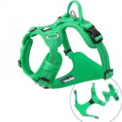 Truelove Country Plus + Hundegeschirr