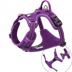 Truelove Country Plus + Hundegeschirr