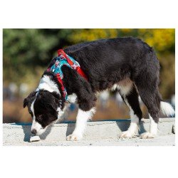 Truelove Country Plus Special Edition Tarnmuster Hundegeschirr Camouflage