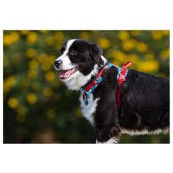 Truelove Country Plus Special Edition Tarnmuster Hundegeschirr Camouflage