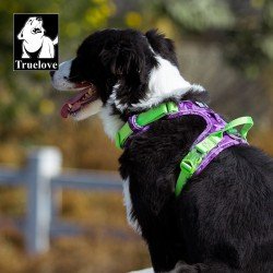 Truelove Country Plus Special Edition Tarnmuster Hundegeschirr Camouflage