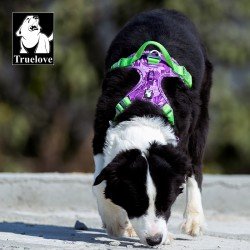 Truelove Country Plus Special Edition Tarnmuster Hundegeschirr Camouflage