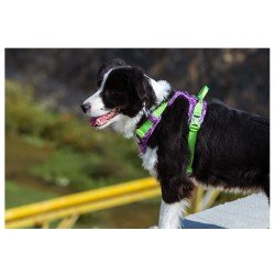 Truelove Country Plus Special Edition Tarnmuster Hundegeschirr Camouflage