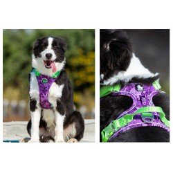 Truelove Country Plus Special Edition Tarnmuster Hundegeschirr Camouflage