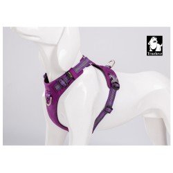 Truelove Colorado Plus + Hundegeschirr