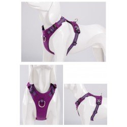 Truelove Colorado Plus + Hundegeschirr