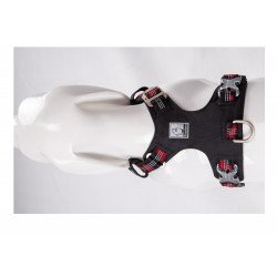 Truelove Colorado Plus + Hundegeschirr