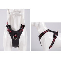 Truelove Colorado Plus + Hundegeschirr