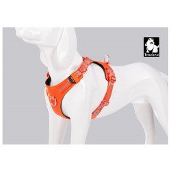 Truelove Colorado Plus + Hundegeschirr