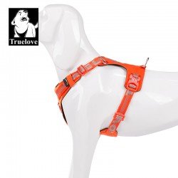 Truelove Colorado Plus + Hundegeschirr