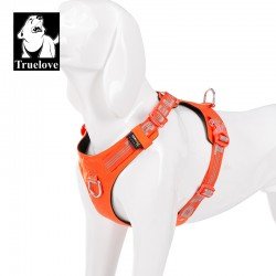 Truelove Colorado Plus + Hundegeschirr