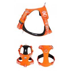 Truelove Colorado Plus + Hundegeschirr